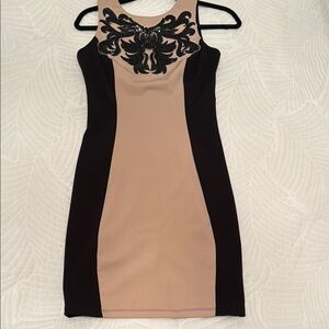 Elegant Black and Tan Dress